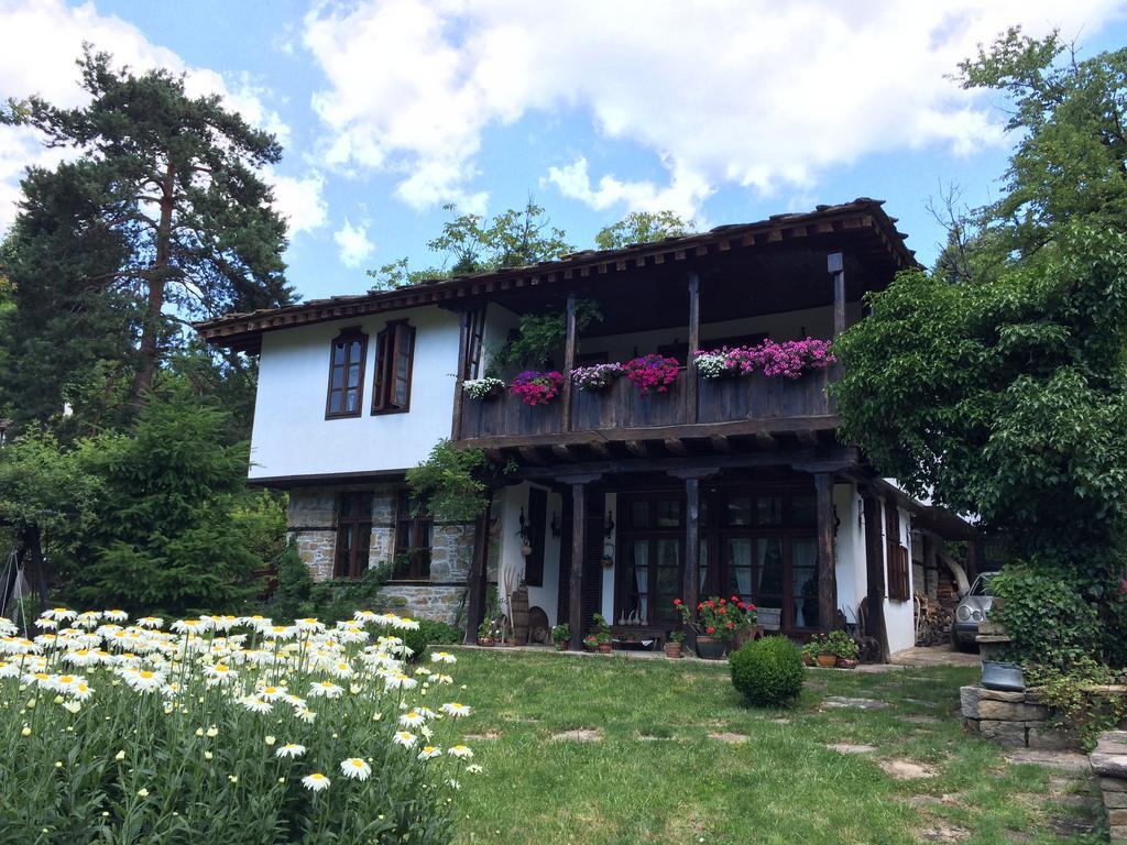 Stefanina Guesthouse ボジェンツィー エクステリア 写真