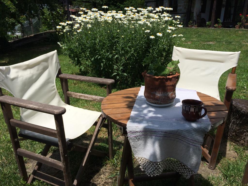 Stefanina Guesthouse ボジェンツィー エクステリア 写真