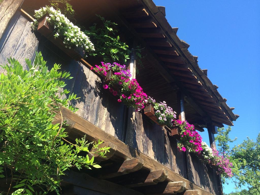 Stefanina Guesthouse ボジェンツィー エクステリア 写真