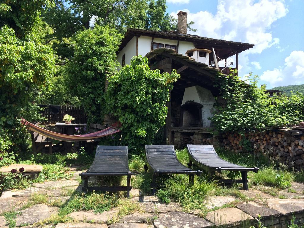 Stefanina Guesthouse ボジェンツィー エクステリア 写真