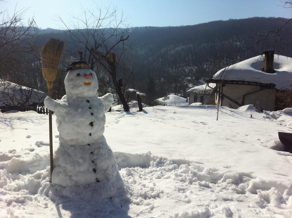 Stefanina Guesthouse ボジェンツィー エクステリア 写真