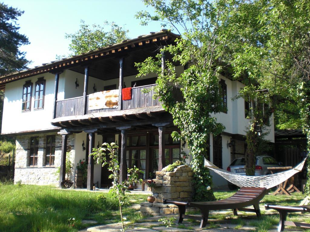 Stefanina Guesthouse ボジェンツィー エクステリア 写真