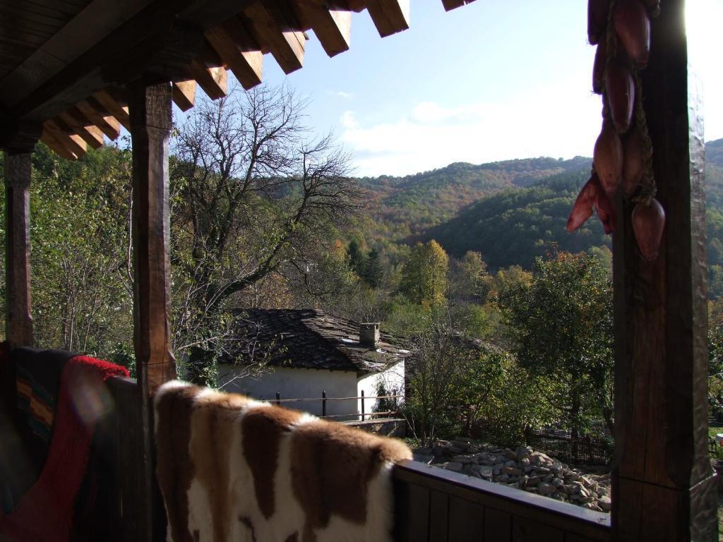 Stefanina Guesthouse ボジェンツィー エクステリア 写真