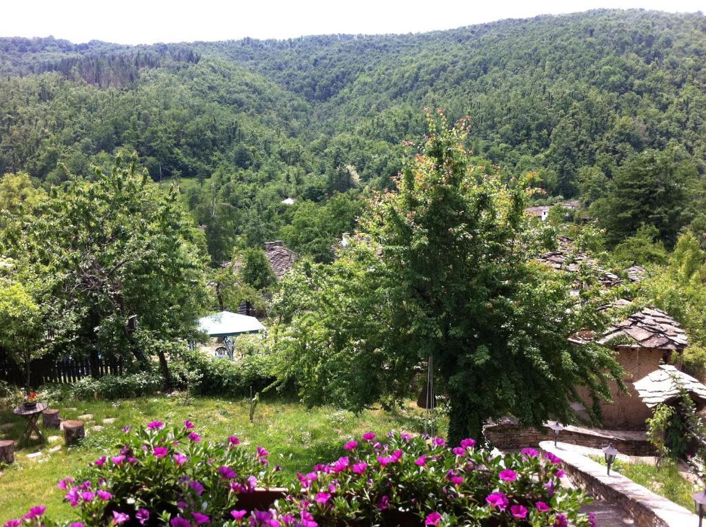 Stefanina Guesthouse ボジェンツィー エクステリア 写真