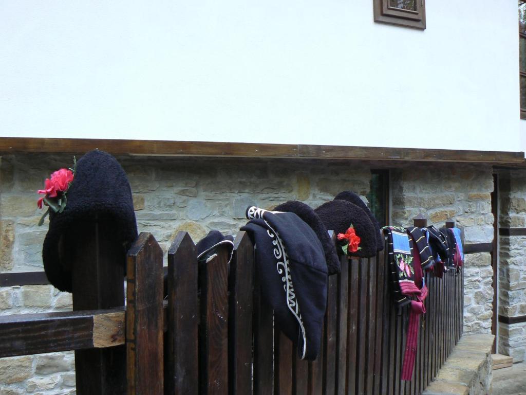 Stefanina Guesthouse ボジェンツィー エクステリア 写真