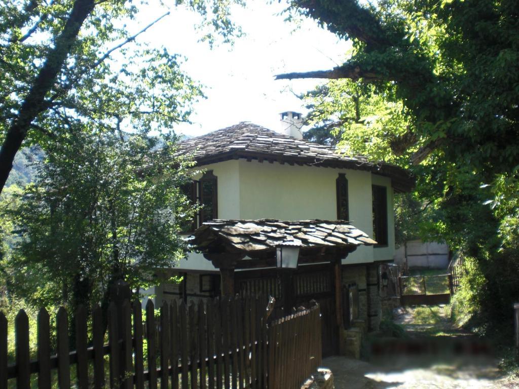 Stefanina Guesthouse ボジェンツィー エクステリア 写真