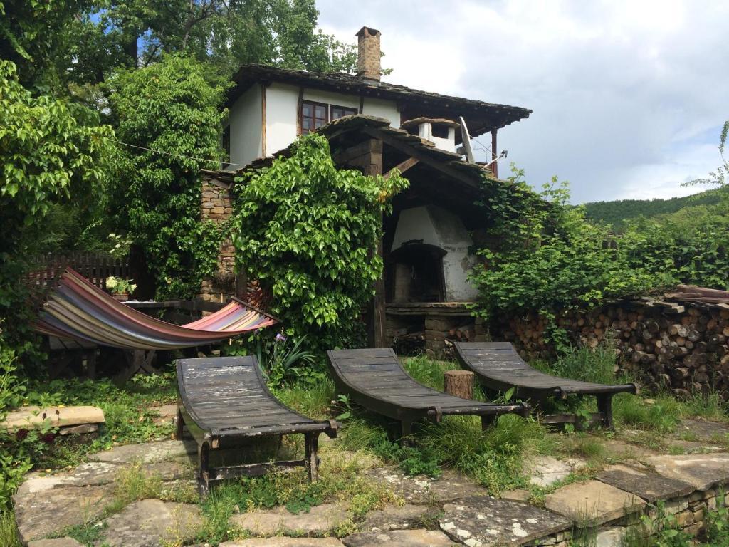 Stefanina Guesthouse ボジェンツィー エクステリア 写真