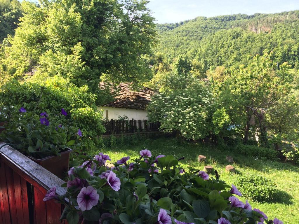 Stefanina Guesthouse ボジェンツィー エクステリア 写真